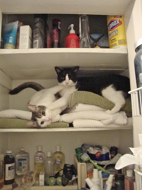 What? We're just wrestling in the linen closet.