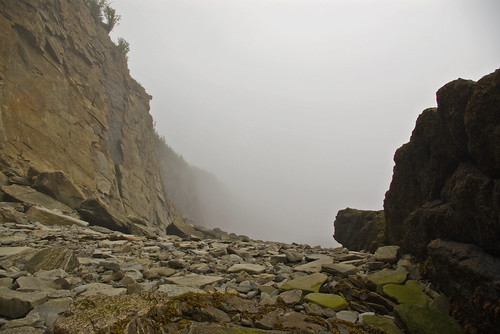 fog cliffs newbrunswick capeenrage