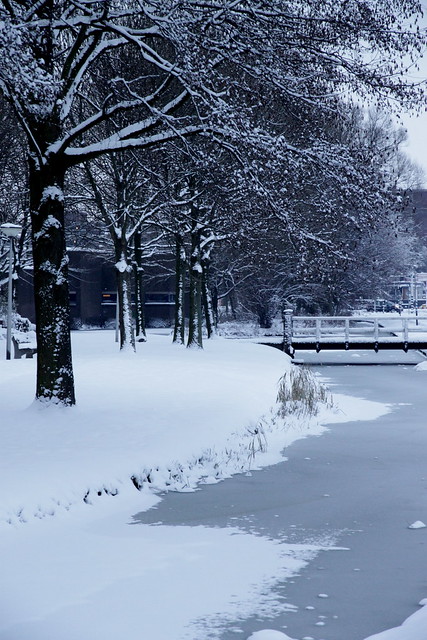 Winter 2010/2011- Krimpen aan den IJssel