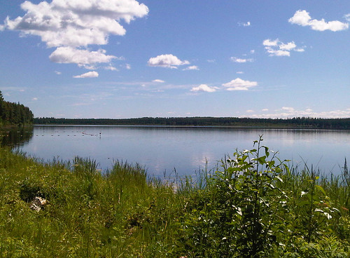 Musreau Lake PP - Summer