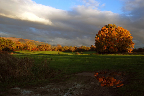 autumn trees light sky clouds landscape vermont hills foliage fields salisbury