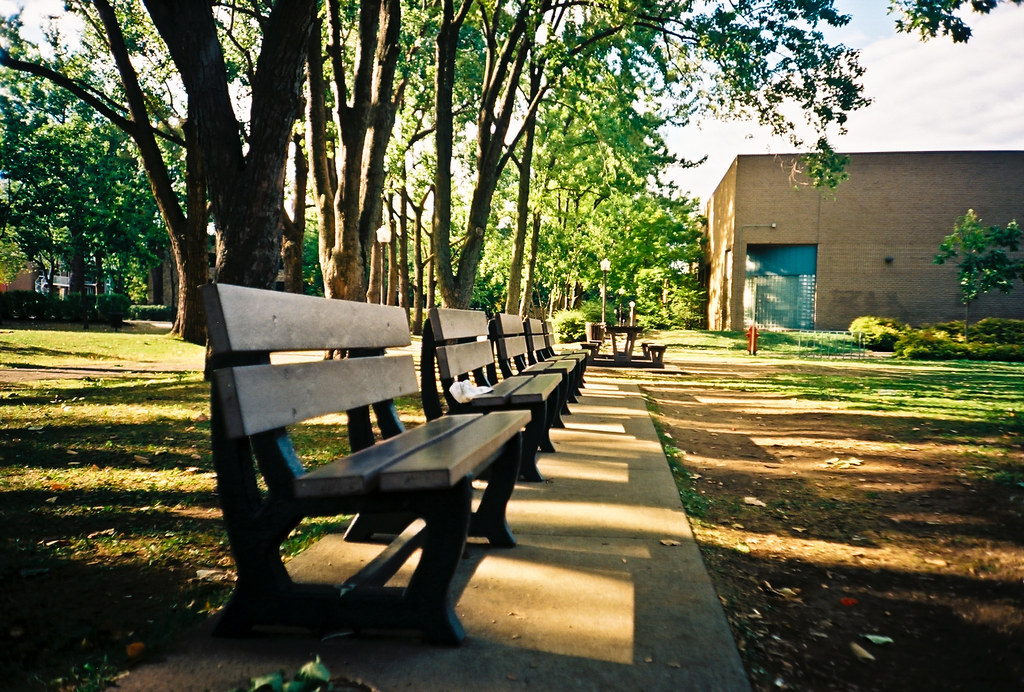 À l'ombre des bancs