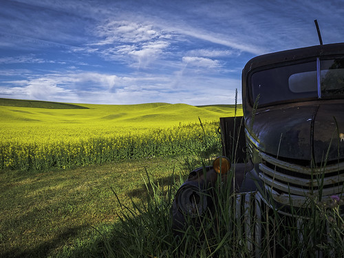 vehicle truck farmvehicle canola yellow blue olympus olympusomdem1