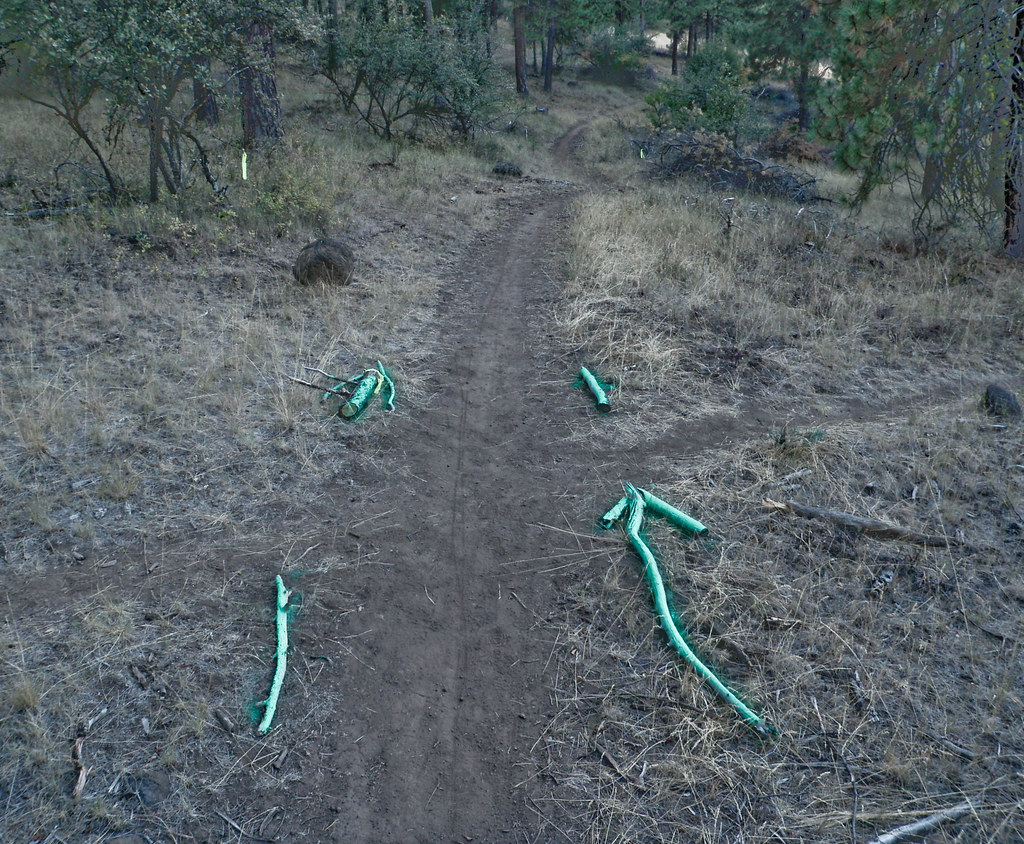 Enduro