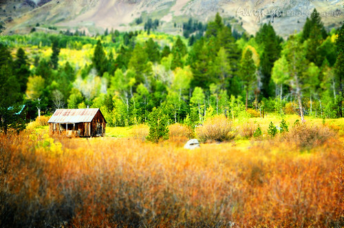 autumn house color fall painting nikon shed d7000