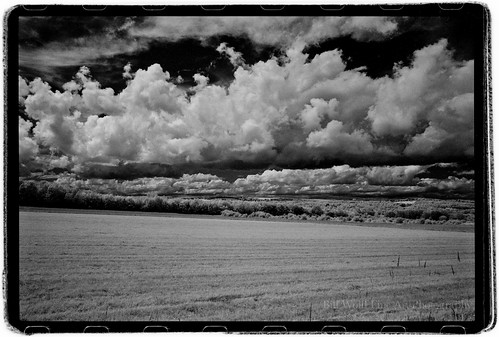 trees field clouds landscape ir maine 2012 rollei400ir