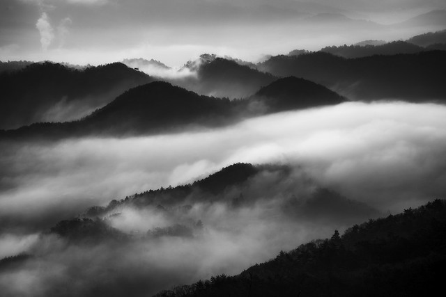 Motosu, morning fog