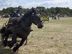 Power Horse Competition 2016