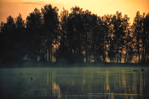 bird nature birds sunrise suomi finland landscape auringonlasku pirkanmaa mattiollikainen mazahito morningscubamoment