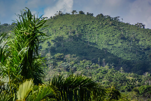 laaltagracia dominicanrepublic do plantation near rio anamuyita higuey dominican republic mountain top viewed from dr island caribbean farm paysage landscape hill