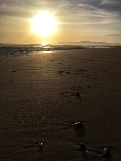 Compton Bay sunset.