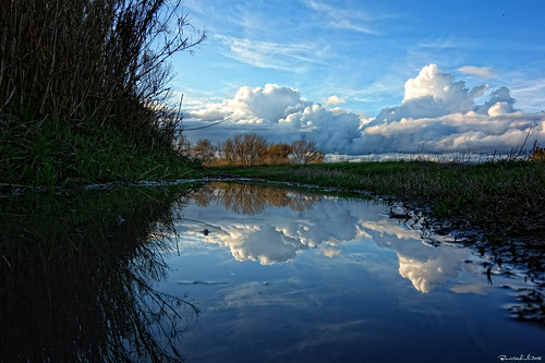 riflessi specchio lago landscape paesaggio nubi