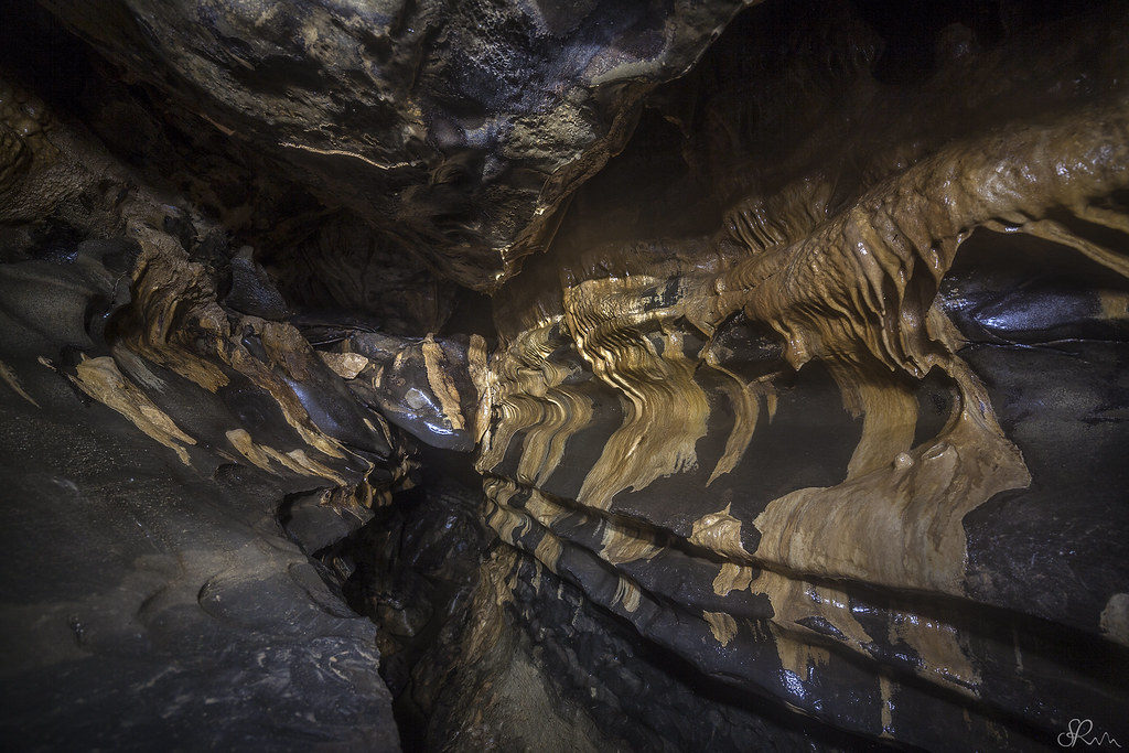 Cueva de los Tayos; anaconda abstracto | La Cueva de los Tay… | Flickr