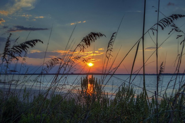 Sunset Through the Sea Oats (A Touch of Wonder)