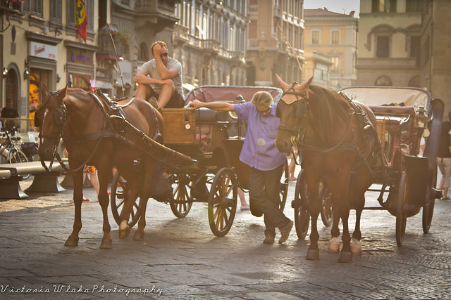 Florence Horse Carriages