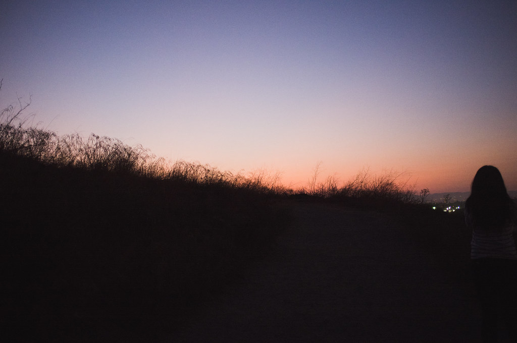 Silhouette of a person on a ridge overlooking distant city lights under violet and orange sunset.