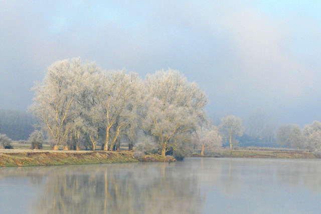 Loire en hiver vers st Yan FRANCE