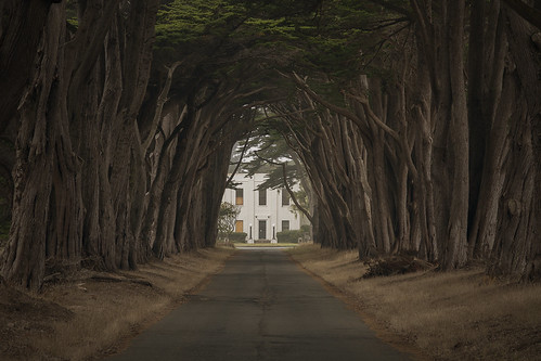 Point Reyes - Driveway | by Aaron Grimes