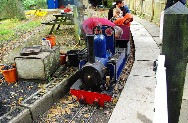 RD7708.   7¼ inch gauge railway at Hollycombe.