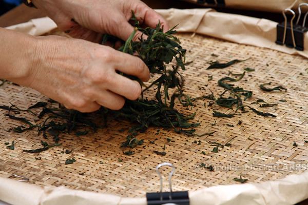 Rolling The Tea Leaves
