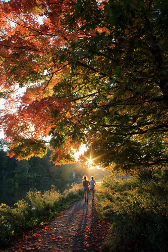 sunset fall cornell ithaca beebelake beginnerdigitalphotographychallengewinner