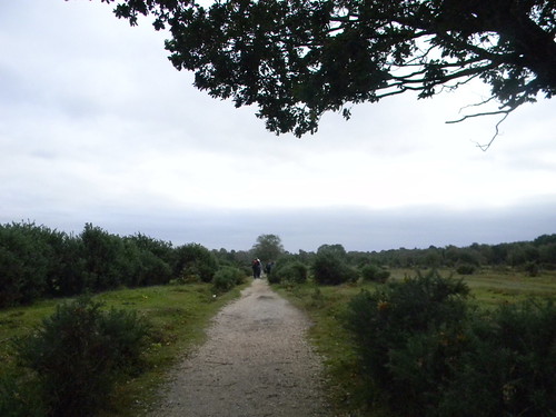 Path across Black Knowl Brockenhurst Circular