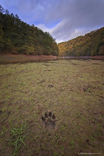 lake tracks footprint huella pontmisère lacdelahautesûre hautesûre uppersûre