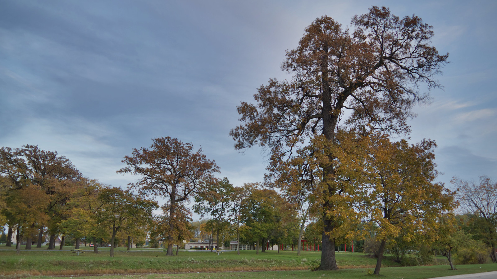 Belle Isle Park