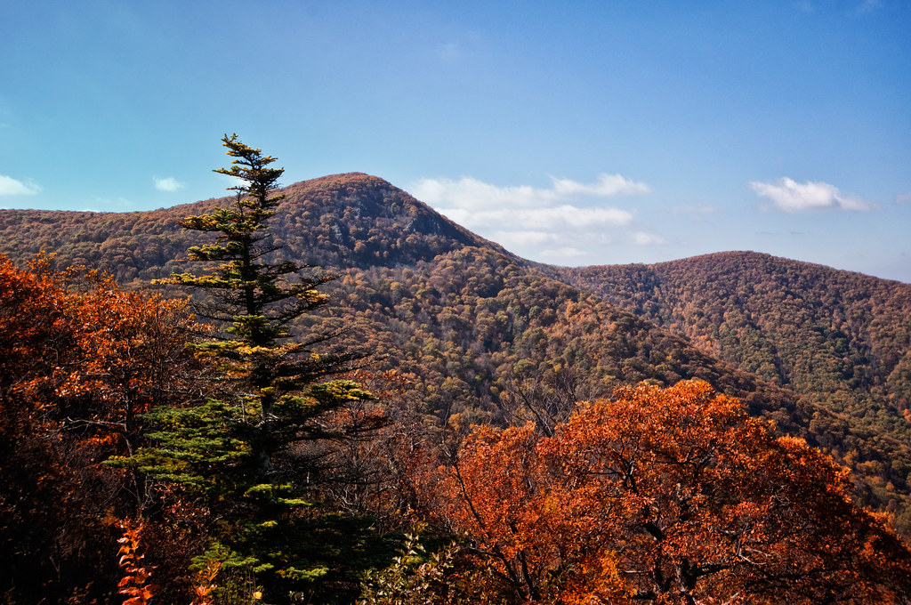 Autumn View of Hawksbill Mountain