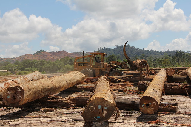01 Logging in Sabah Continues - Crocker Range Road to Tenom 2011-10-28 01