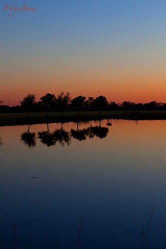 trees sunset water reflections mirror twilight pond texas country np silhoutte microwavetower wallercounty mayerroad wyojones