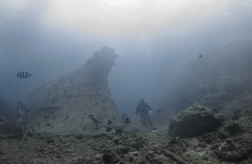 wreck wrack fidschi bistro centraldivision pacificharbour unterwasser fiji fji underwater