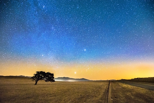 longexposure night oaktree santabarbaracounty iso6400 nikond4