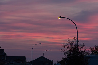 Streetlight Sunset.