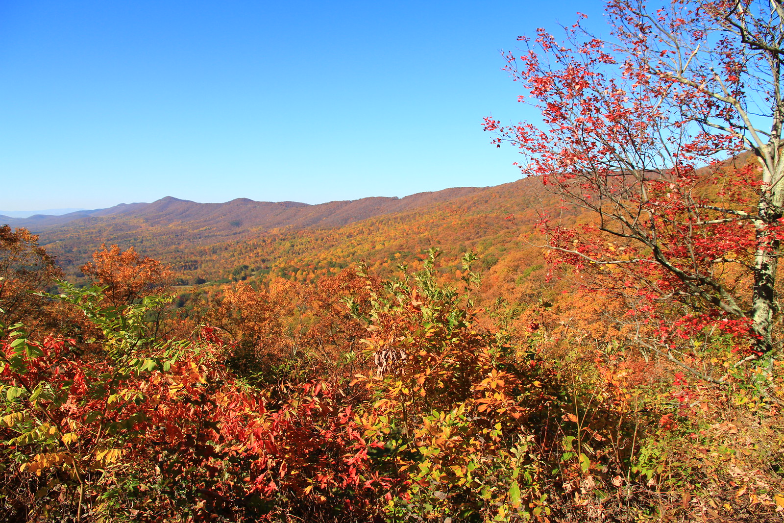 Blue Ridge Ridgewood BlueRidge Parkway | Flickr