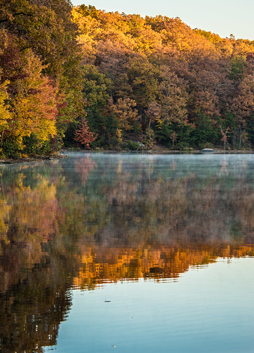 autumn trees mist lake fall forest sunrise greenbrierstatepark 1210216554