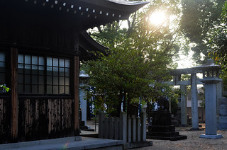 Nosohachimon Shrine Sunrise