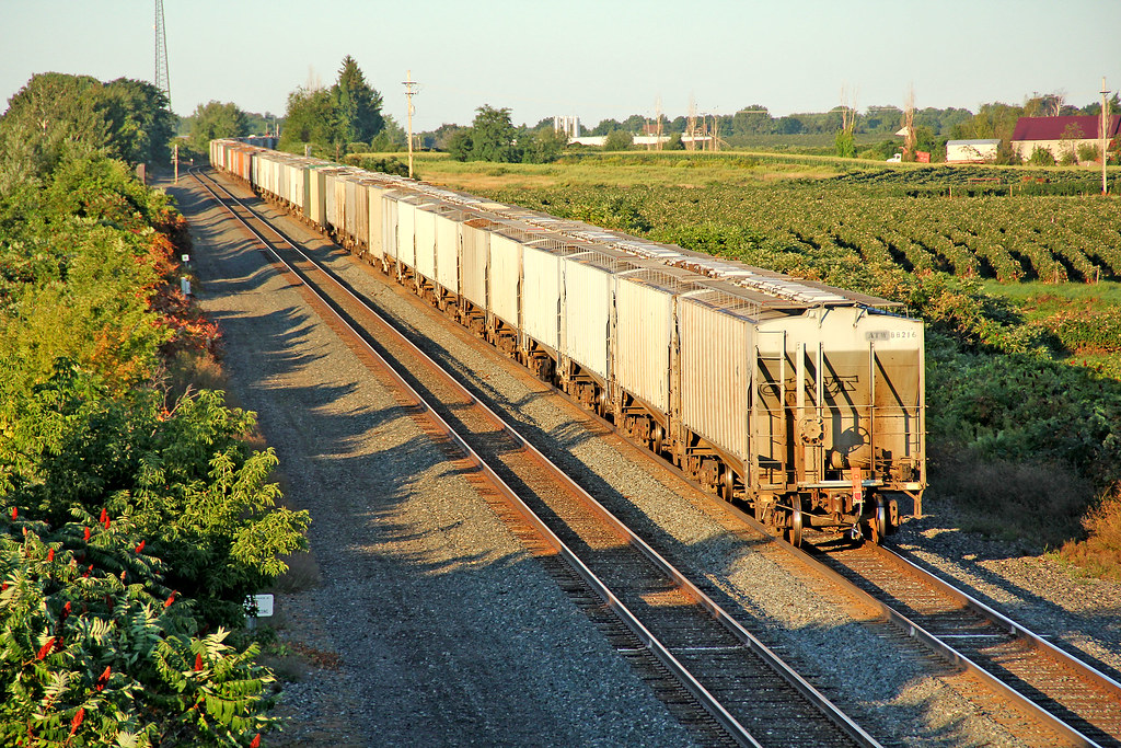 Grain Train in Vineyard Country | A westbound CSX grain trai… | Flickr