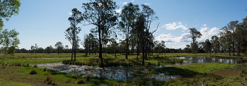 panorama landscape wetlands lagoon mongogariecreek richmondvalley northernrivers nsw australia australianlandscape ruralaustralia rurallandscape afternoonlandscape