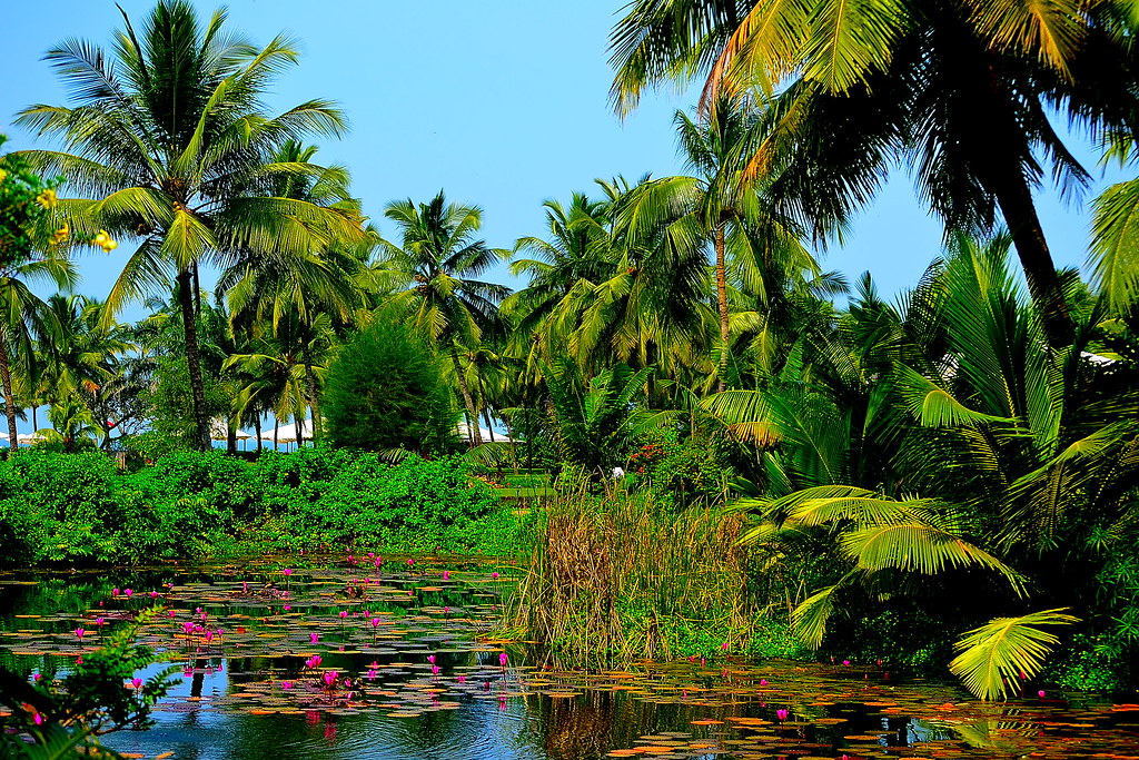 Goa Coastal Getaway — Classic Escape — Goa Coastal Getaway