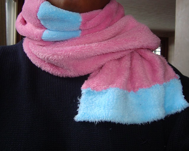 Thing-A-Day 2/24/10: Pink Scarf
