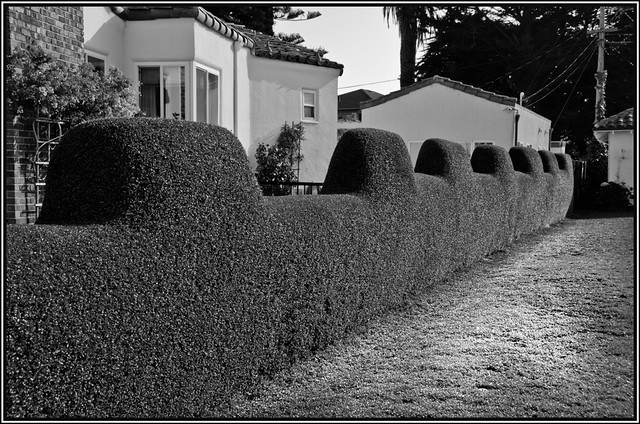 When a Hedge is Like a Fence