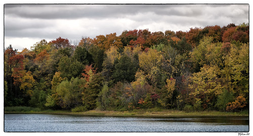 Fall at August A. Busch Memorial Conservation Area by Nikon66