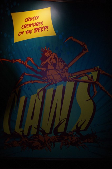 Sydney Aquarium - Crabs - Claws