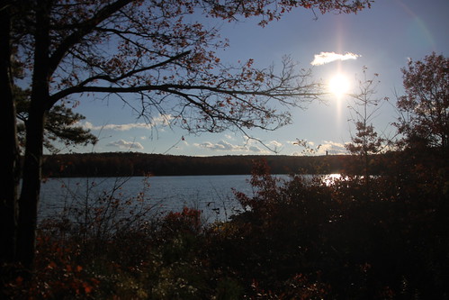 trees sunset lake reflection fall leaves auumn