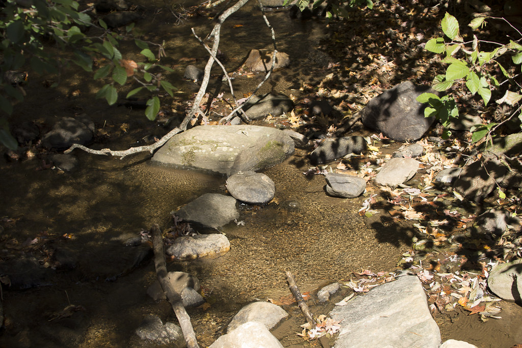 Appalachian Approach Trail - Georgia