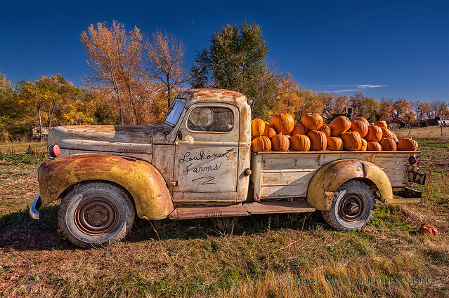 The Great Pumpkin Truck