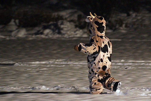 A Child in a Cow Costume in the Snow in the Dark
