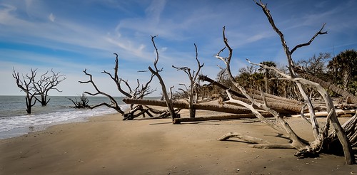 Botany Bay Boneyard | by Curtis Cabana Photography