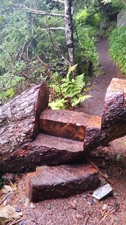 Clever trail log | by Sailing P & G